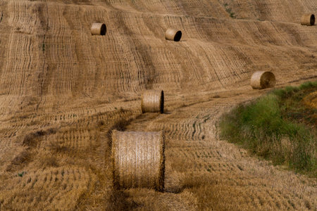 Tuscany landscape, straw balls in the field, Italy