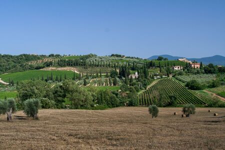 Tuscany landscape with cypresses - Italyの写真素材