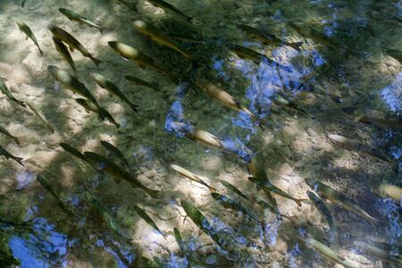 KRKA National Park in Croatiaの写真素材