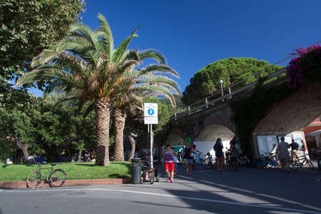 Palma at the crossroads in Levanto - Liguria, Italyの写真素材