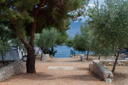 Alley - Ciovo Island, Okrug Gornji - Croatiaの写真素材