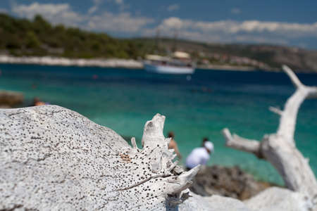 Beach - Ciovo Island, Okrug Gornji - Croatiaの写真素材