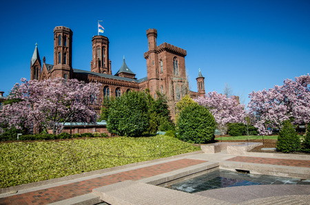Washington DC - May 1, 2018: Flowering magnolia blossom trees frame the Smithsonian Castle on the National Mall in Washington DC in the springのeditorial素材