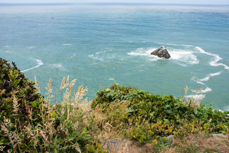 View of the Pacific Ocean at Patrick's Point State Park near Trinidad, California