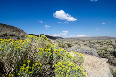 Arid climate and high desert of the Eastern Sierra California