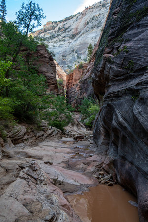 Small muddy creek flowing through the canyon along the Observation Point trail in Zion National Park...