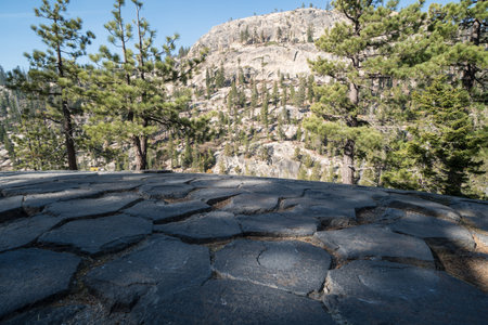 Close-up of the hexagonal shapes formed naturally at the top of Devil's Postpile National Monument in the John Muir Wildness near Mammoth Lakes California in the Sierra Nevada mountainsの写真素材