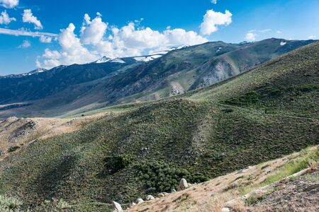 Conway Summit, a scenic overlook in Mono County Californiaの写真素材