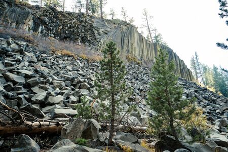 Devils Postpile National Monument in the morning lightの写真素材