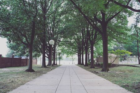 Tree lined path along the Anacostia Riverwalk in Southwest DCの写真素材