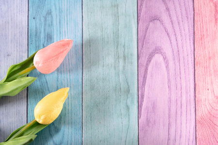Pastel rainbow wooden background with two tulips (pink and yellow). Room for copy, useful for spring and easter projectsの写真素材