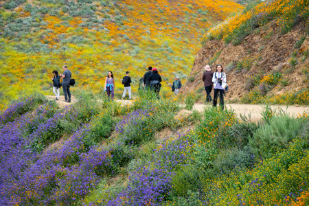 Lake Elsinore, California - March 20, 2019: Happy, smiling photographers and tourists take photos...