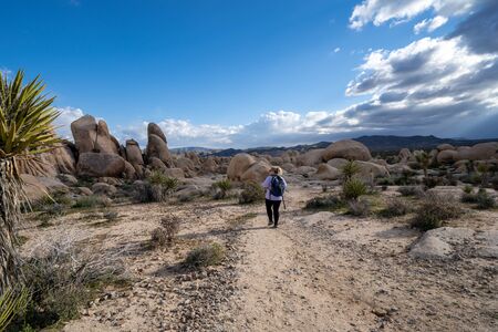 Young woman female hiker wearing a backpack starts off on a hiking trail in Joshua Tree National Park, to the Arch Rockの写真素材