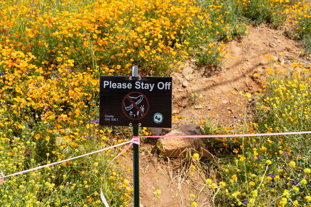 Lake Elsinore, California - March 22, 2019: Sign warns tourists and hikers to stay out of the marked area during the poppy wildflower superbloom1のeditorial素材