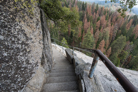 Steps and stairs along the Moro Rock hike in Sequoia National Park in California
