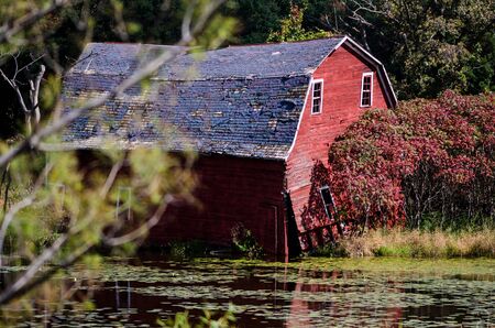 The famous sinking red barn in Zimmerman Minnesota, sinks into a lakeの写真素材