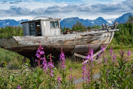 Abandoned boat sits in a junkyard along Alaska Homer Spit on a sunny summer day. Fireweed in foregroundの写真素材