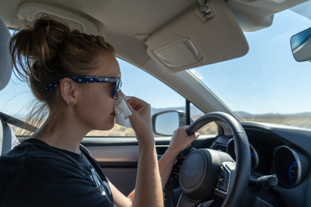 Woman female driver uses a tissue to blow her nose while driving. Concept for distracted driving,...