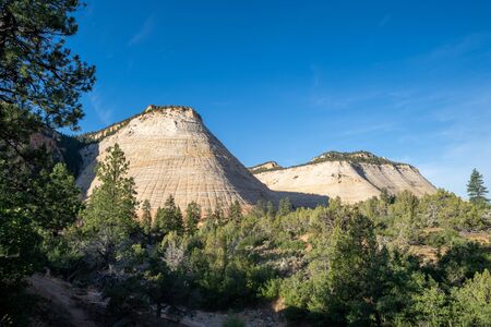 Early morning view of Checkerboard Mesa in Zion National Park in Utahの写真素材