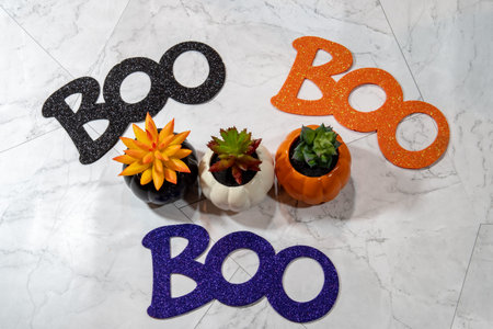 Boo word for Halloween - arranged around autumn succulents cactus plants. Isolated on marble background