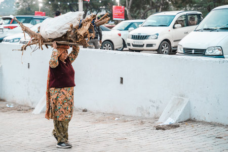 Faridabad, India - Febuary 1, 2020: Indian woman carries many logs on top of her head while working...