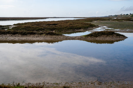 The swamp and wetlands near Barril Beach in Tavira Portugal