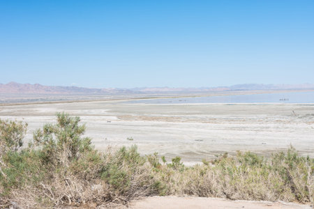 Abandoned dirty shoreline of the Salton Sea in Bombay Beach California on a sunny day