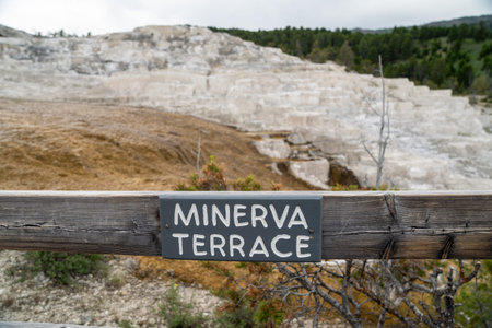Sign for Minerva Terrace, in Mammoth Hot Springs area of Yellowstone National Park