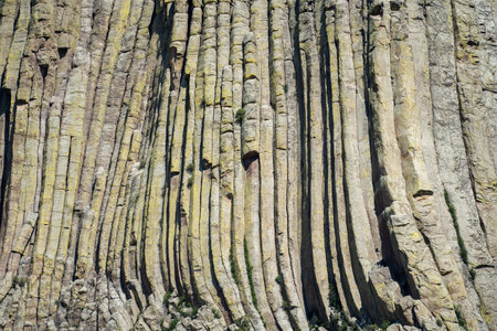 Close up detail view of the vertical basalt columns of Devils Tower National Monument in Wyoming