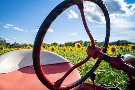 Close up of a tractor wheel and seat with a field of blooming sunflowers behind in backgroundの写真素材