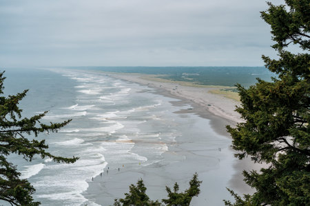Beautiful view of Cape Disappointment State Park beach, framed by trees. Washington State