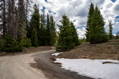 Dirt road out of Brooks Lake recreation area and campground in the Shoshone National Forest. Snow remains in summerの写真素材