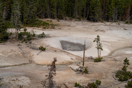 Mud Volcano and Sulfur cauldron are mud pots and fumaroles, in Yellowstone National Park Wyoming