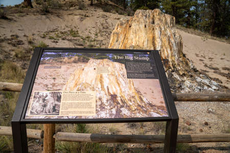 Teller County, Colorado - September 16, 2020: Information sign about the Big Stump, a petrified tree in Florissant Fossil Beds National Monumentのeditorial素材