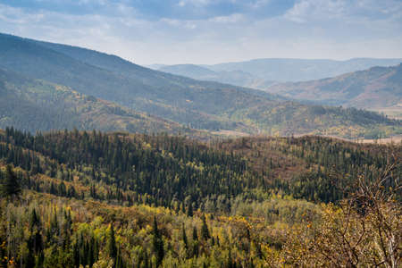 Autumn scenery along Rabbit Ears Pass in the Routt National Forest, near Steamboat Springs Coloradoの写真素材
