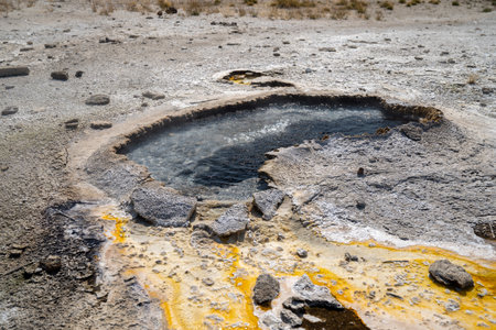 Ear Spring, a hot spring thermal feature in the Upper Geyser Basin in Yellowstone National Parkの写真素材