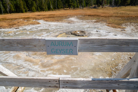 Aurum Geyser, a hot spring thermal feature in the Upper Geyser Basin in Yellowstone National Parkの写真素材