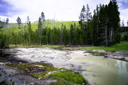 Frying Pan Hot Springs in Yellowstone National Park