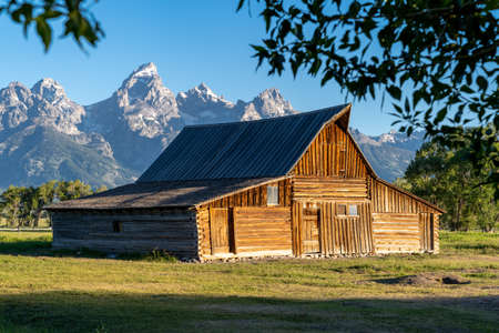 TA Moulton Barn at Mormon Row in Grand Teton National Park on a clear, sunny morning in summer. Natural framing by treesのeditorial素材