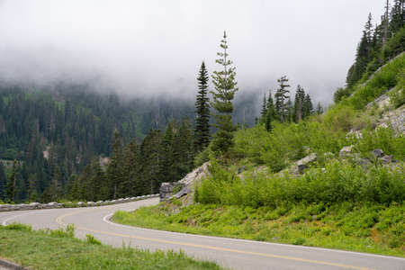 Fog sets in along the road to Paradise in Mt. Rainier National Parkの写真素材