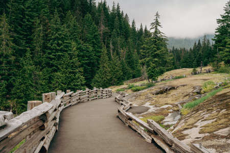Paved trail leading to the bridge overlook at the Box Canyon of the Cowlitz River in Mt Rainier National Parkの写真素材