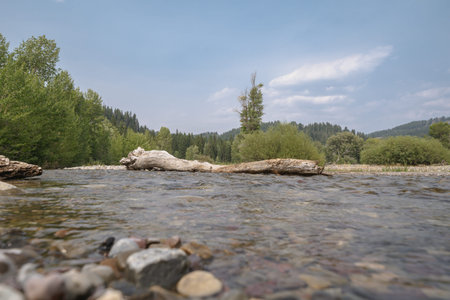 Low angle view of Pilgrim Creek in Grand Teton National Park
