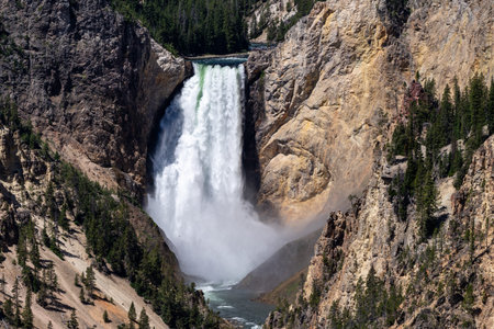 Artists Point showing the lower falls of the Grand Canyon of the Yellowstone in the national parkの写真素材