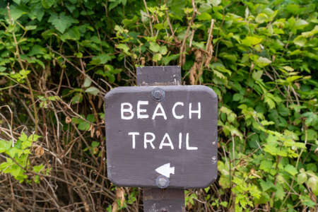 Beach Trail directional sign leading to a beach on the ocean. Taken at Kalaloch Beach in National Parkの写真素材