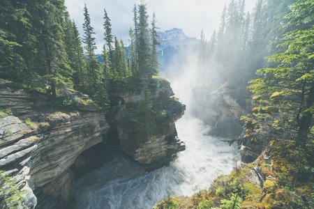 Very misty morning view of Athabasca Falls waterfall in Jasper National Park Canadaの写真素材