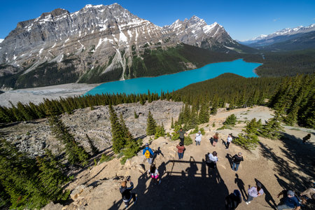 Banff, Alberta, Canada - July 12, 2022: Tourists take photos at Peyto Lake on a summer dayのeditorial素材