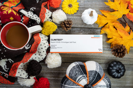 Fall autumn COVID-19 flatlay concept, with an at-home antigen COVID test, sunflowers, pine cones and...