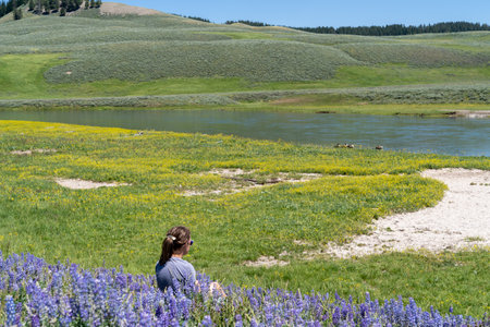 Bored woman sits in a purple lupine field, aloneの写真素材