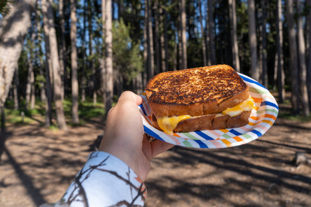 Hand holds up a toasted grilled cheese sandwich on a paper plate, made at a picnic area campsite