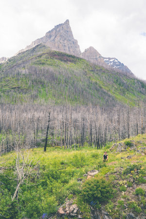 Woman sits in a field with Mt. Blakiston looming, in Waterton Lakes National Park Canadaの写真素材